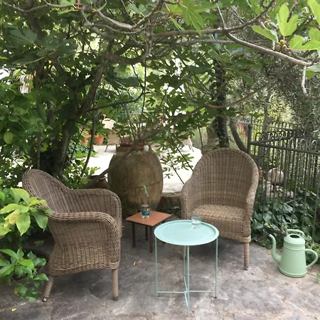 Der Besonderen Art In Am Glan Meisenheim